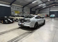 2017 Shelby Terlingua – 800HP Limited Edition