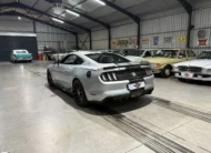 2017 Shelby Terlingua – 800HP Limited Edition