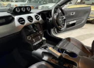 2017 Shelby Terlingua – 800HP Limited Edition