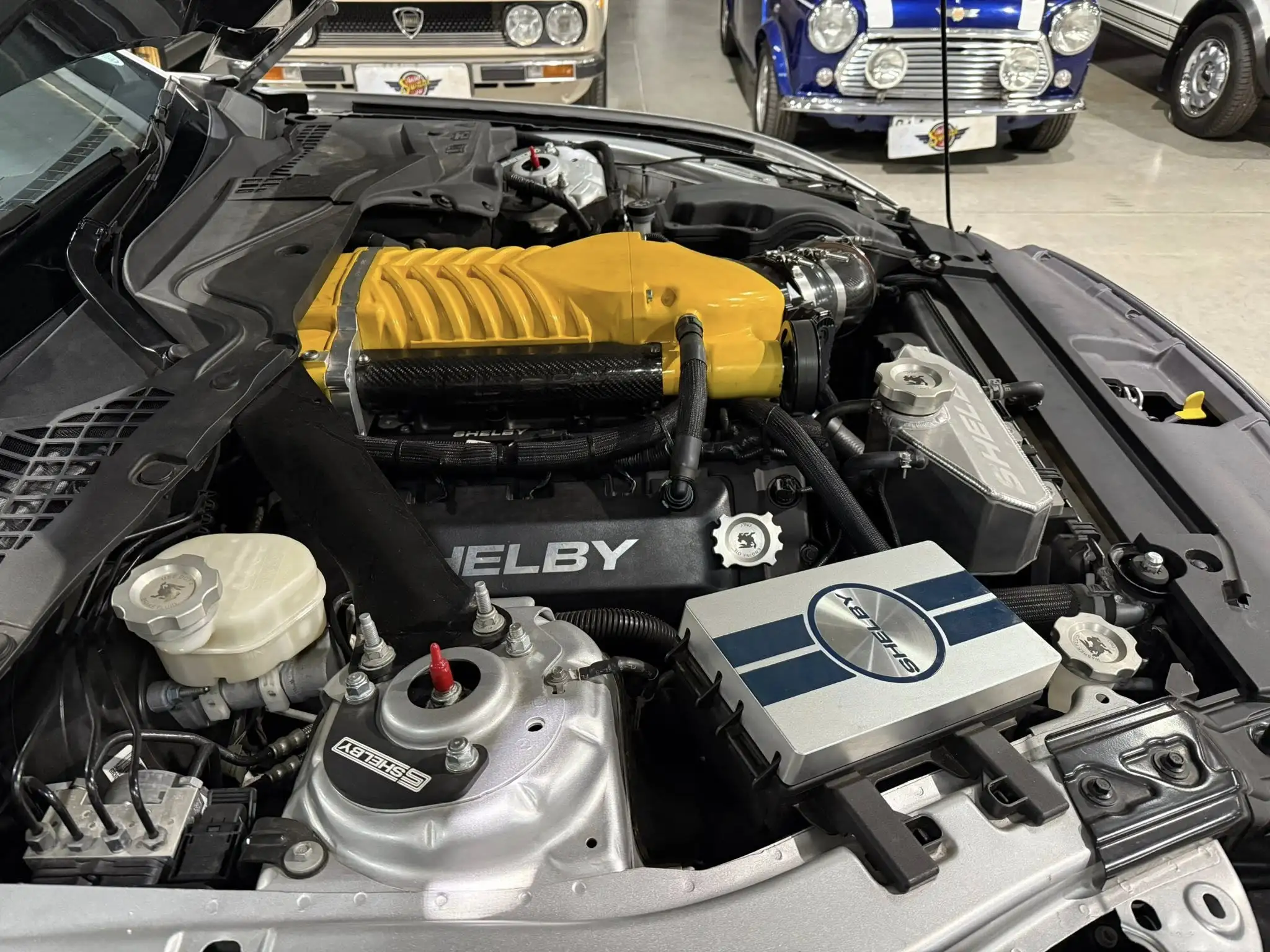 2017 Shelby Terlingua – 800HP Limited Edition