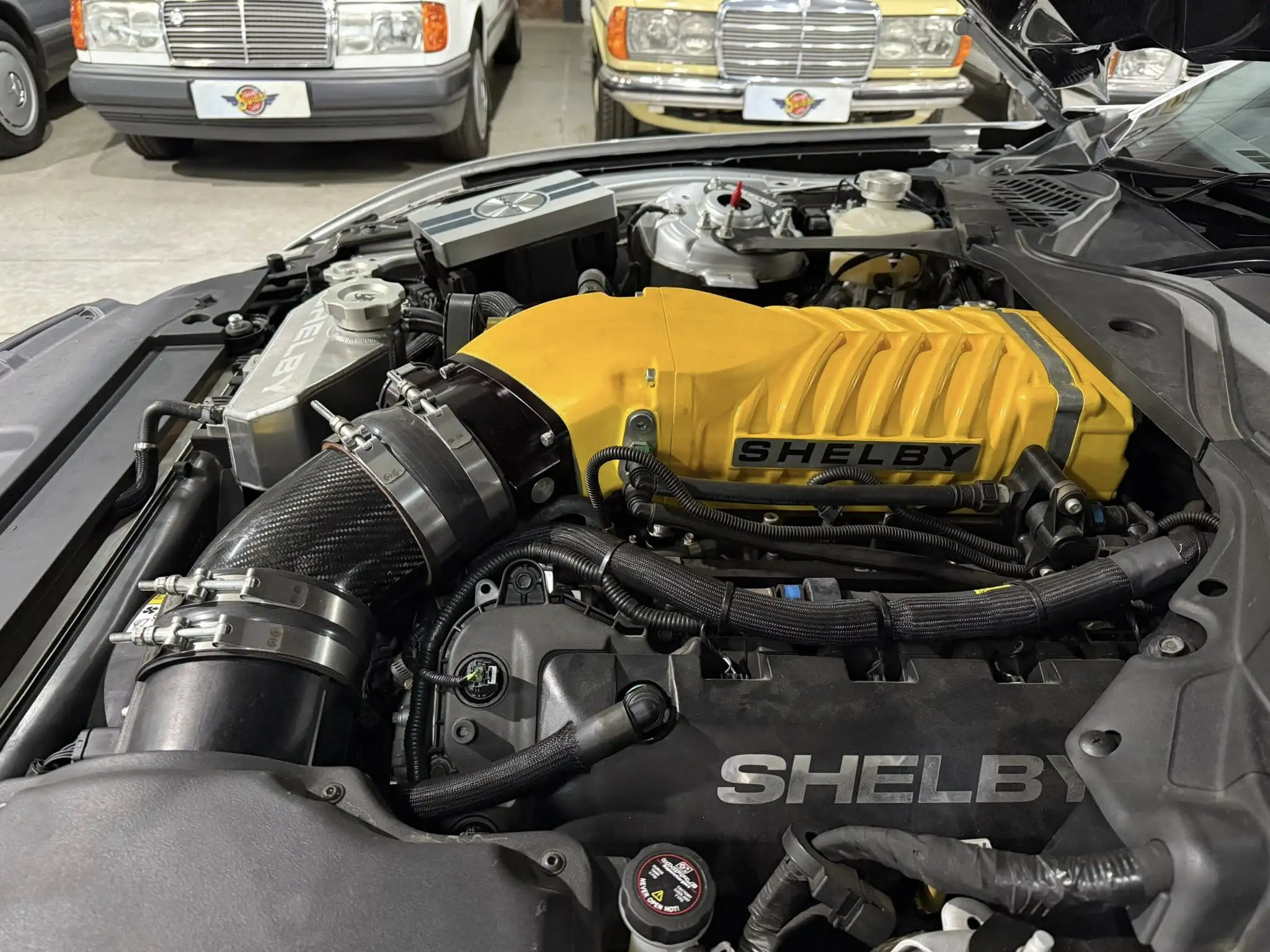 2017 Shelby Terlingua – 800HP Limited Edition