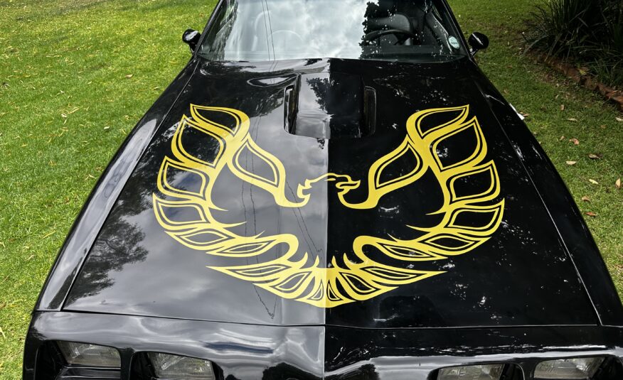 1981 Pontiac Firebird TransAm [LHD]
