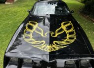 1981 Pontiac Firebird TransAm [LHD]