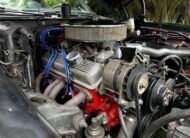 1981 Pontiac Firebird TransAm [LHD]