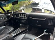 1981 Pontiac Firebird TransAm [LHD]