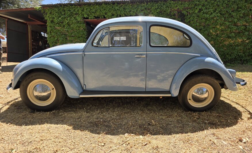 1956 Volkswagen Oval window beetle