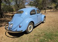 1956 Volkswagen Oval window beetle