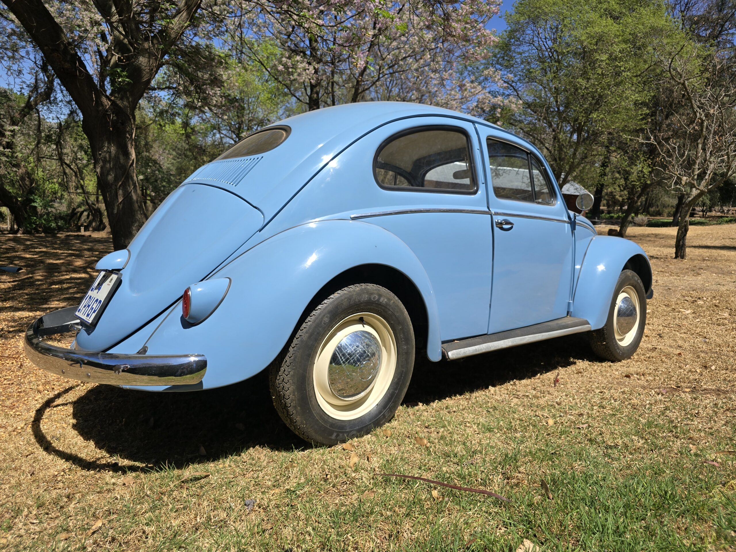1956 Volkswagen Oval window beetle