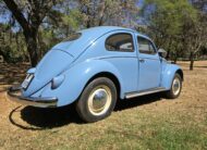 1956 Volkswagen Oval window beetle