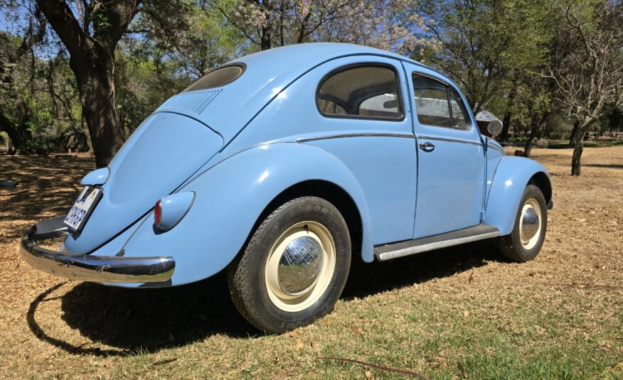 1956 Volkswagen Oval window beetle