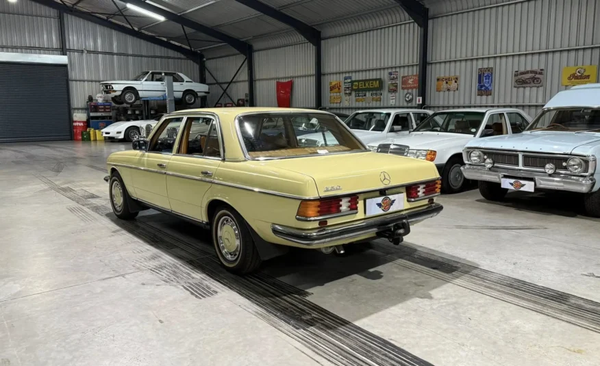 1979 Mercedes-Benz W123 250