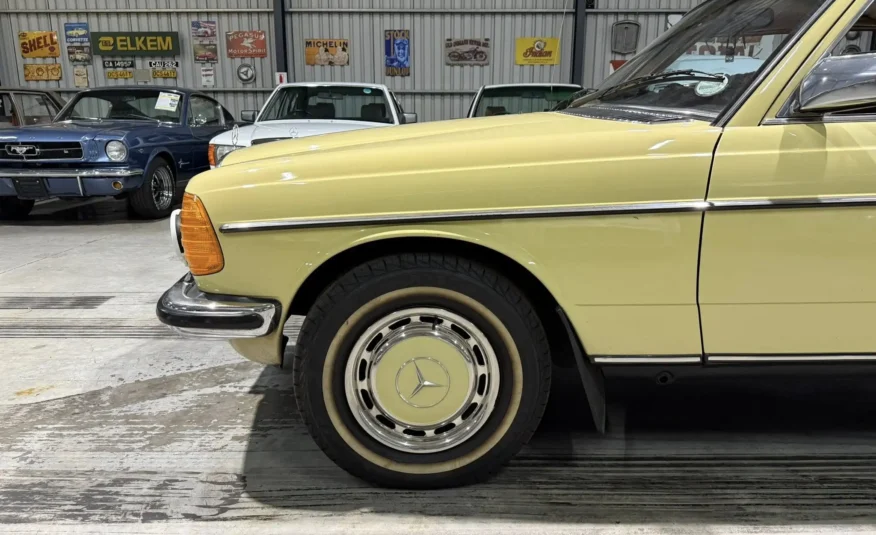1979 Mercedes-Benz W123 250
