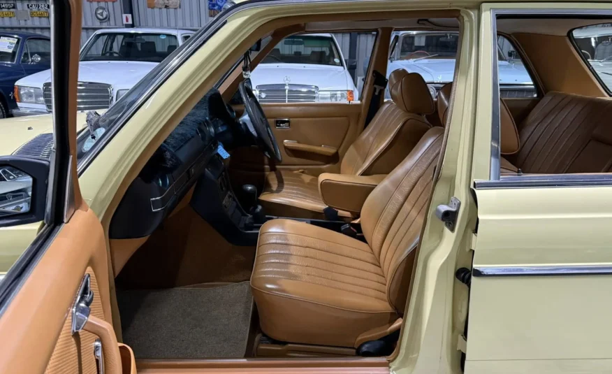 1979 Mercedes-Benz W123 250