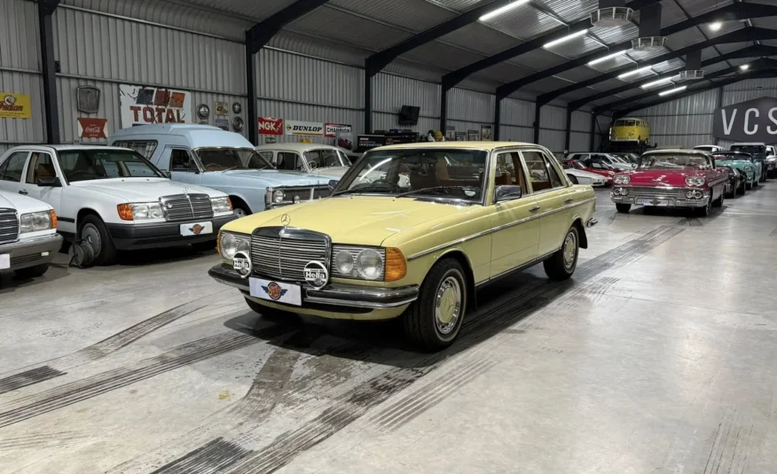 1979 Mercedes-Benz W123 250