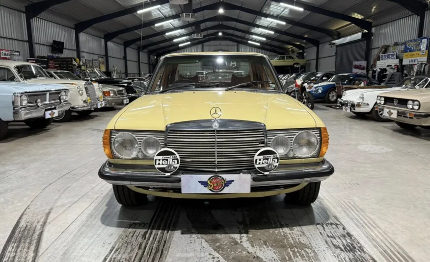 1979 Mercedes-Benz W123 250