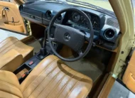 1979 Mercedes-Benz W123 250