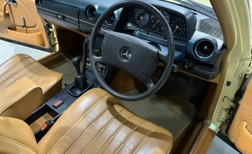 1979 Mercedes-Benz W123 250