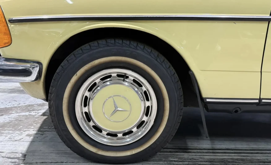 1979 Mercedes-Benz W123 250