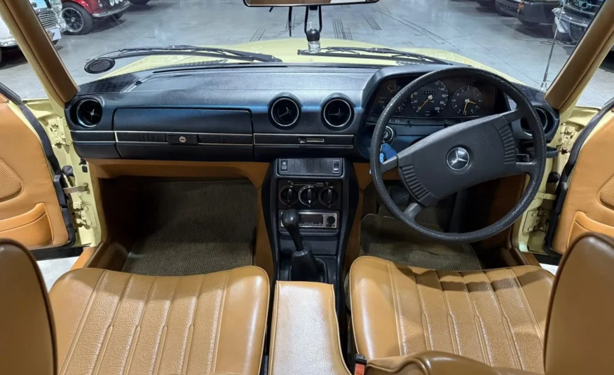 1979 Mercedes-Benz W123 250