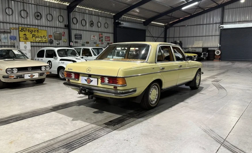 1979 Mercedes-Benz W123 250