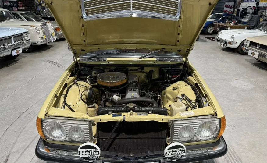 1979 Mercedes-Benz W123 250