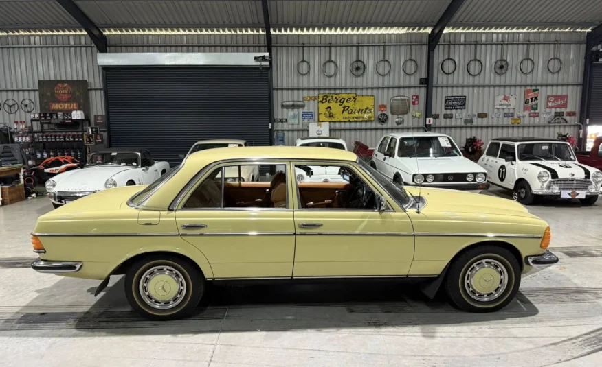 1979 Mercedes-Benz W123 250