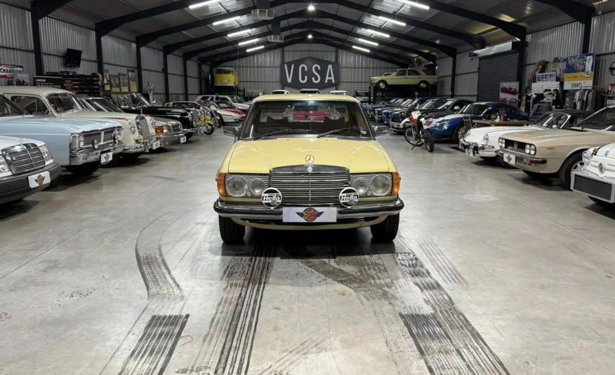 1979 Mercedes-Benz W123 250