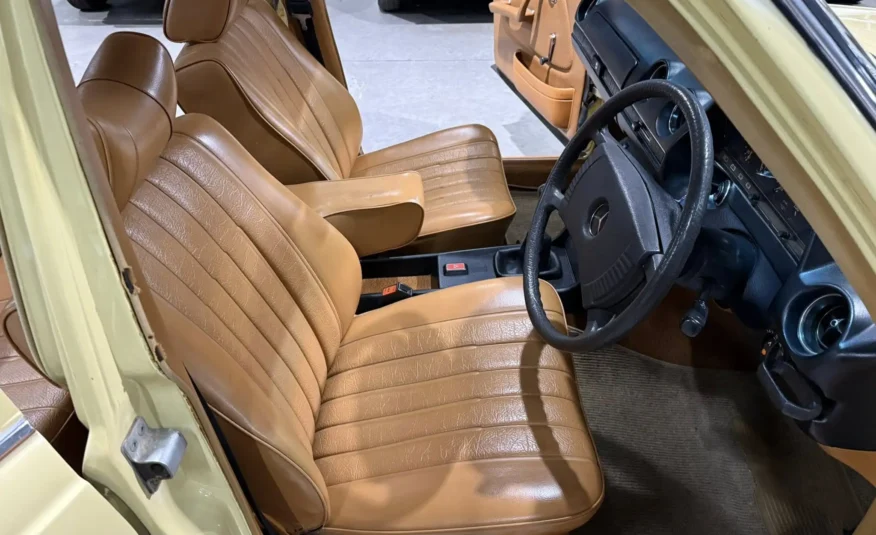 1979 Mercedes-Benz W123 250