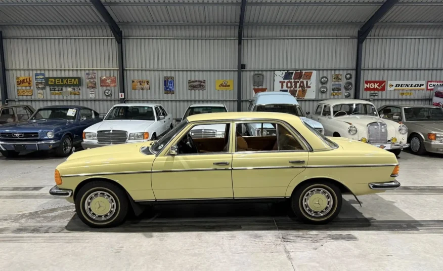1979 Mercedes-Benz W123 250
