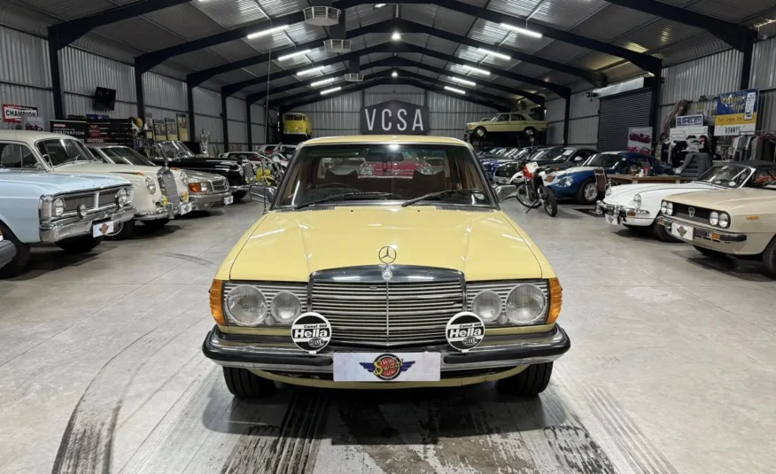 1979 Mercedes-Benz W123 250