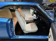 1970 Dodge Charger 500Ci