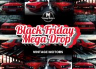 [BLACK FRIDAY] 1981 Ford Mustang 5.0