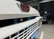 1959 Ford F100 Pickup