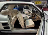 1967 Ford Mustang 390 S-Code GTA Notchback