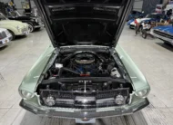 1967 Ford Mustang 390 S-Code GTA Notchback