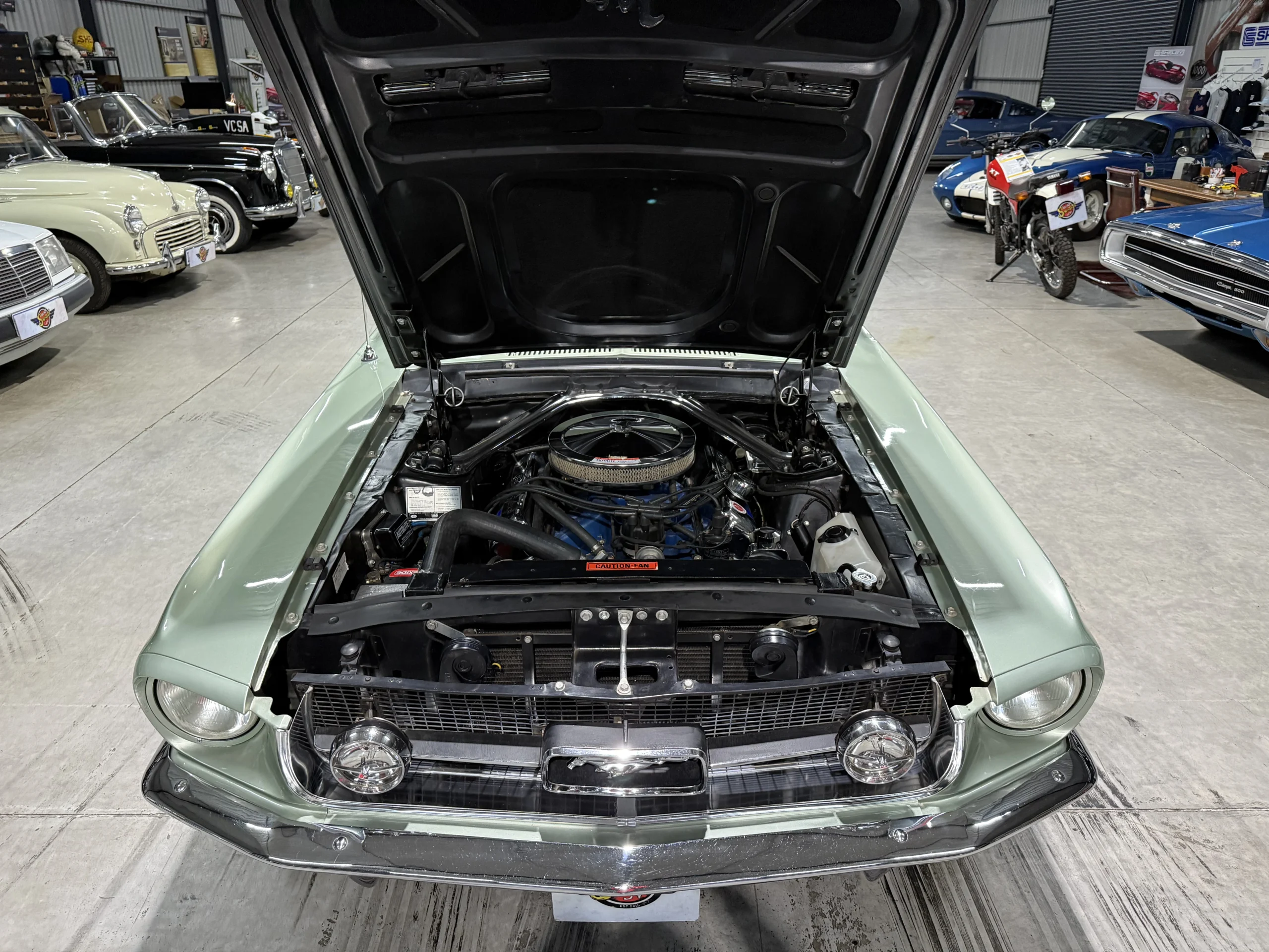 1967 Ford Mustang 390 S-Code GTA Notchback