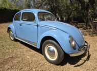 1956 Volkswagen Oval Beetle