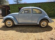 1956 Volkswagen Oval Beetle