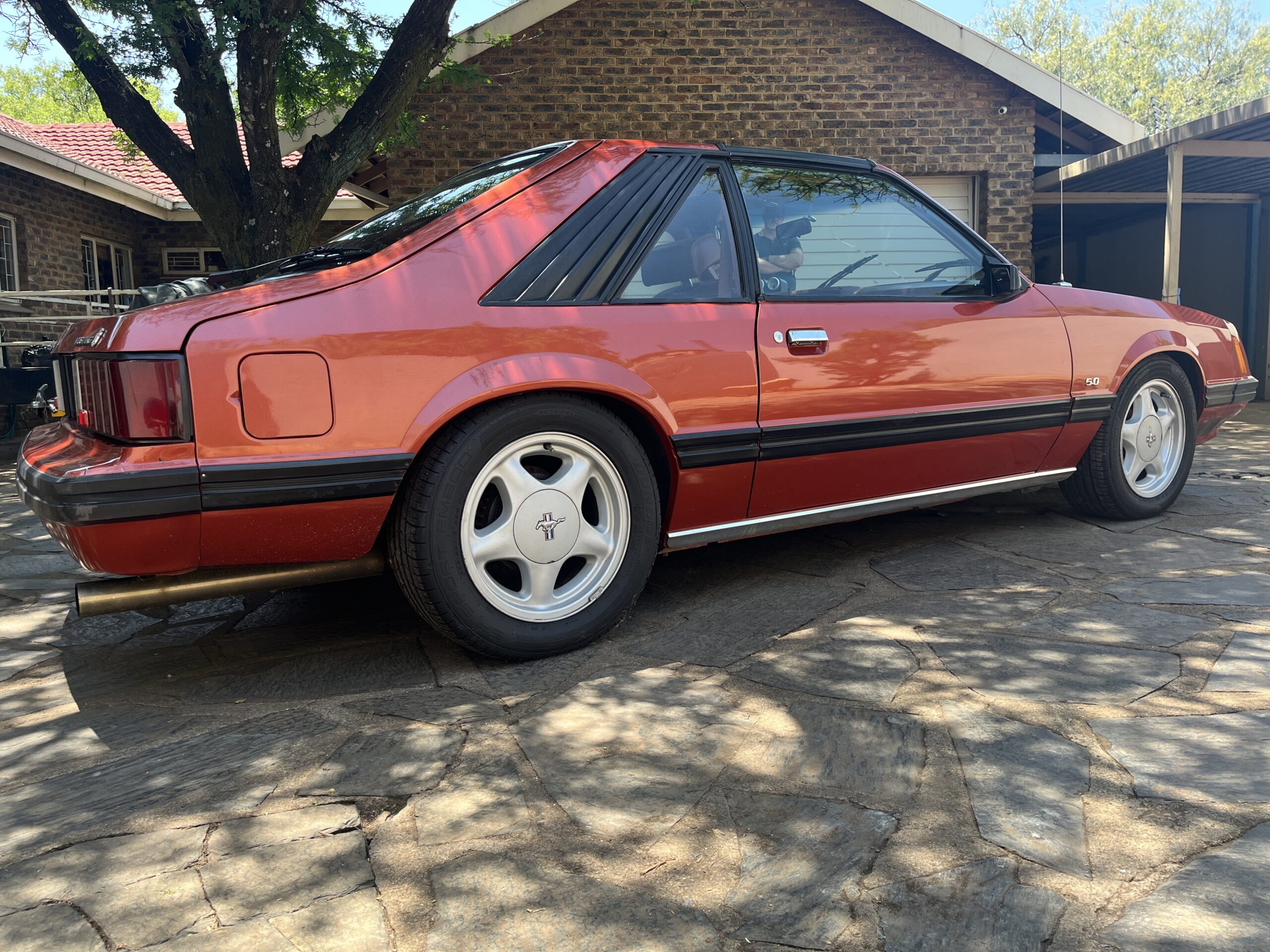 1981 Ford Mustang 5.0