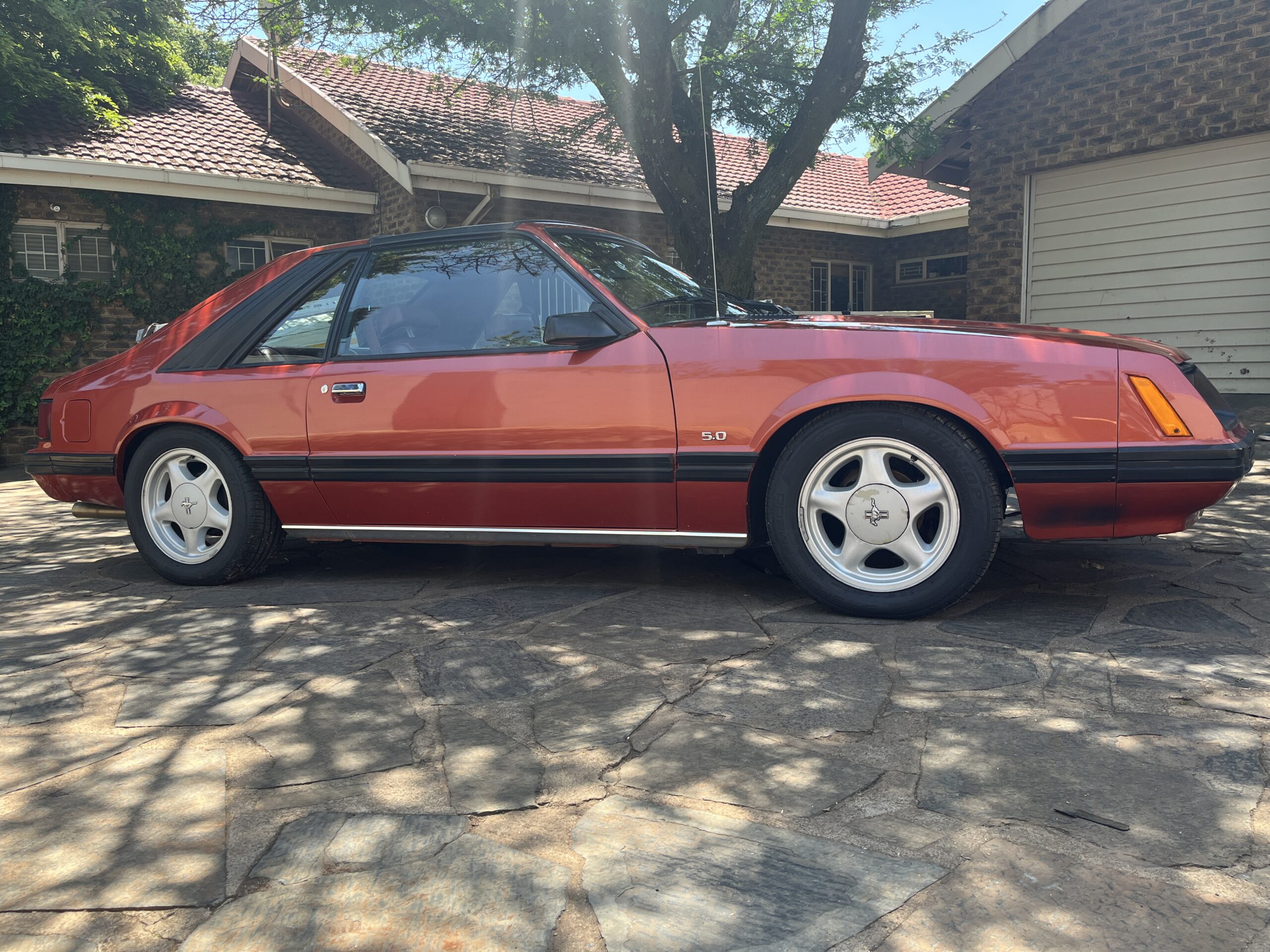 1981 Ford Mustang 5.0