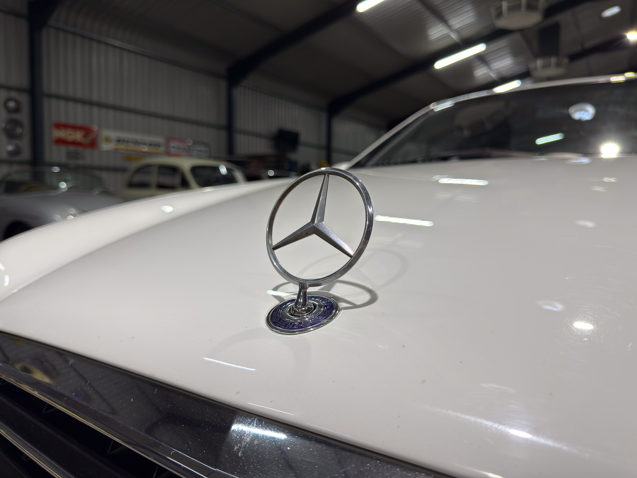 1999 Mercedes-Benz CLK320 AMG